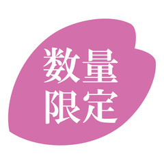 桜の花びらのイラスト素材　「数量限定」の文字入り　背景透過　ピンク
