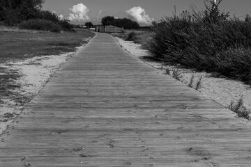 Wooden boardwalk through dune landscape by the sea under blue sky
