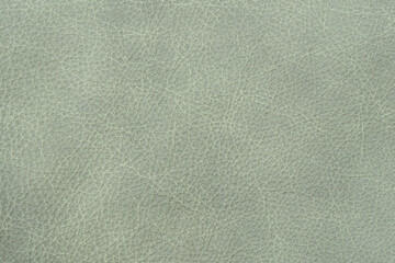 Abstract textured light green leather background with small pattern for web banner template or...