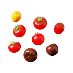 tomato and tomatoes