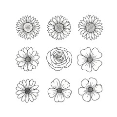 Black and white line drawings of various flowers with detailed petals and centers