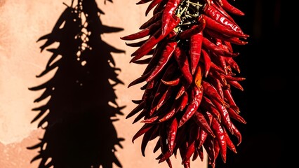 Dried red chili peppers hanging bunch traditional spice food image