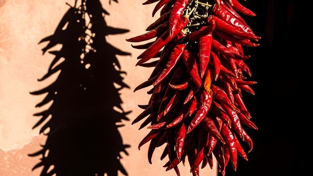 Dried red chili peppers hanging bunch traditional spice food image