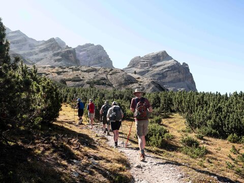 Gruppo di escursionisti in mezzo ai cespugli sul sentiero verso Forcella del Lago con Dolomiti di Fanes sullo sfondo; trekking Lech de Lagaci&ograve;, paesaggio alpino per uso editoriale, turistico e sportiv