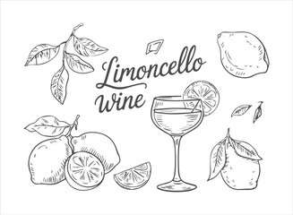 Hand-Drawn Limoncello Wine Sketch Set: Classic Italian Lemon Liqueur, Citrus Fruits, and Cocktail Glass Illustration for Menu Design and Beverages.