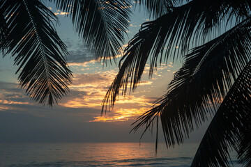 Naklejka premium Palm tree silhouette at sunrise and ocean view.