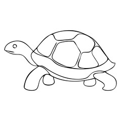 Dibujo de línea continua de tortuga tipo galápago 