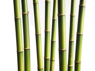Obraz premium Stunning bamboo stalks create a natural serene vibe perfect for wellness brands or eco-friendly designs, bringing a touch of zen and peacefulness to any project