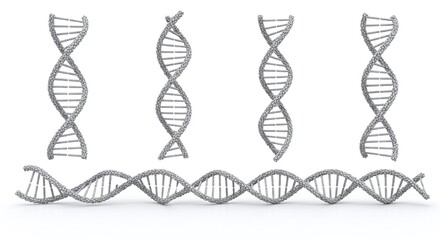 Four representations of dna double helix structures isolated on white background