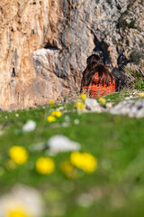 Young woman with her back turned, looking at a cliff in El Chorro