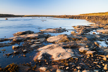evening mood at the sea in west iceland