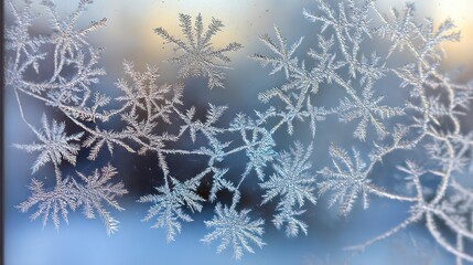 Intricate frost crystals on clear glass pane forming symmetrical branching network symbolizing equity interconnected structure crystal sharply defined