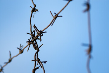 barbed wire close-up against a blue sky