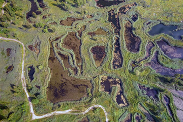 Aerial view of natural swampy lakes and a dirt road between them on a sunny summer day