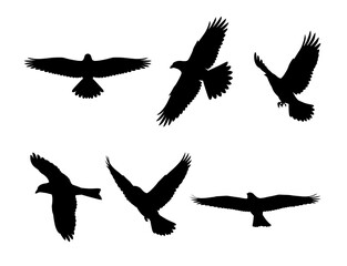 Obraz premium Set of bird silhouettes in flight