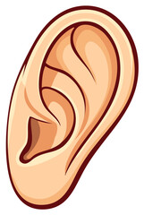 Anatomical Ear Illustration Depicts Human Hearing with Curves and Shadows, Cartoon Style for Educational and Medical Graphics