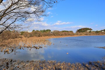 창원 주남저수지의 겨울 풍경
