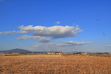 창원 주남저수지의 겨울 풍경