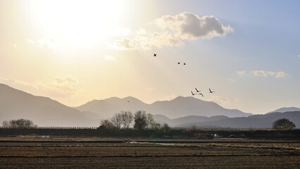 창원 주남저수지의 겨울 풍경
