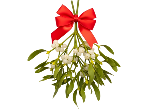 Mistletoe with red bow isolated on transparent background