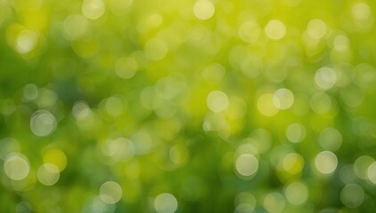 Obraz premium Fresh Green Bokeh Light Background