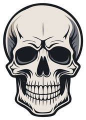 Fototapeta premium Stylized illustration of a human skull with intricate details and shadows.