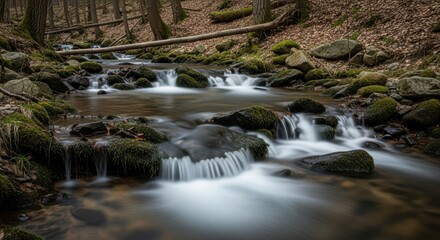 Serene forest stream with gentle water flow over mossy rocks in tranquil woodland