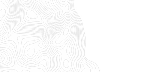Modern area abstract topography map design. White curve map background. geometric topographic world grid wave Topographic map geographic line texture.  © haven lklkj11