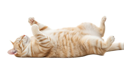 A light orange tabby cat lying on its back with its paws up in the air and its eyes closed peacefully
