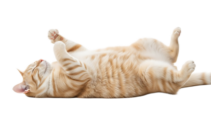 A light orange tabby cat lying on its back with its paws up in the air and its eyes closed peacefully