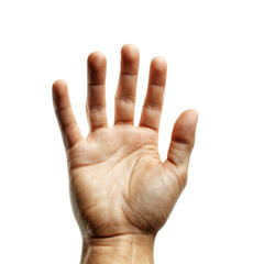 A hand with five fingers