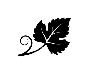 Fototapeta premium Elegant grapevine leaf illustration for wine labels, vineyards, and nature designs