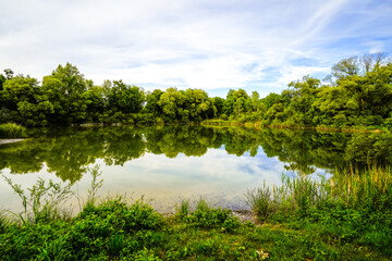 View of the Kranzberger See recreation area in the Amper Valley near Kranzberg. Idyllic nature by the lake.
