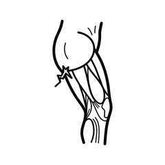 Simple line art illustration of human leg anatomy, highlighting muscles and joint with a localized pain symbol.