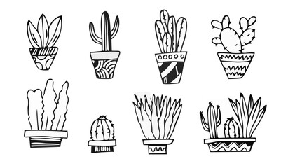 Cactus and succulents vector ...