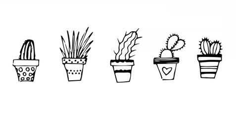 Set of house plants in pots w...