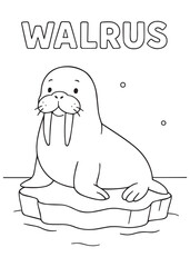 coloring book Walrus – a friendly walrus relaxing on an ice block
