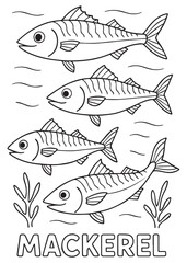 coloring book Mackerel – a school of mackerel swimming together
