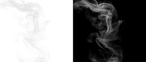 Fototapeta premium Black and white abstract smoke or vapor rising in two panels isolated on transparent background