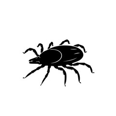 Black silhouette of a tick, a small parasitic arachnid, on a white background, often found in nature.