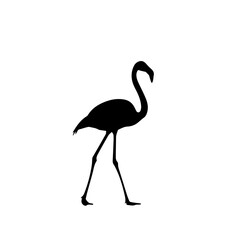 Black silhouette of a flamingo walking, isolated on a white background, elegant bird profile.
