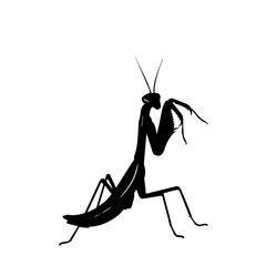 A striking black silhouette of a praying mantis standing on a white background, showcasing its distinctive predatory posture and elongated body.
