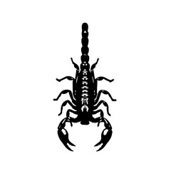Black silhouette of a scorpion with its claws and segmented tail on a white background, viewed from above.