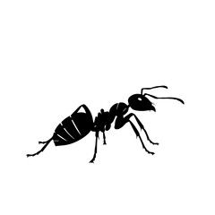 Detailed black silhouette of an ant on a clean white background, showcasing its distinct body segments and legs.