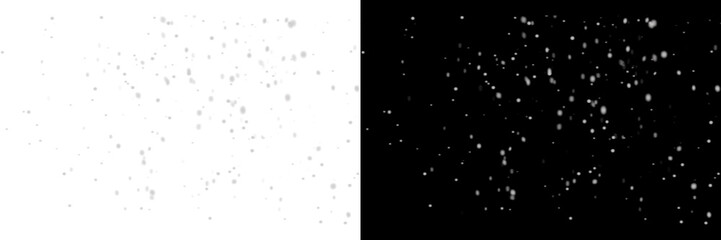 Snowflakes falling on a white and black background, creating a wintery atmosphere isolated on transparent background