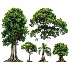 Five diverse trees, vibrant green foliage, isolated white background