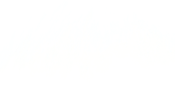  A simple white background with subtle shadows