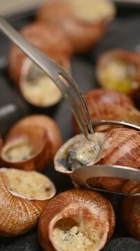 French stuffed snails in shells served on black stones. Close-up food video showing the dish on a plate and a fork taking one snail