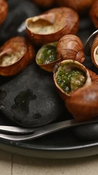 French stuffed snails in shells served on black stones. Close-up food video showing the dish on a plate and a fork taking one snail
