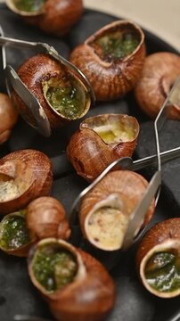French stuffed snails in shells served on black stones. Close-up food video showing the dish on a plate and a fork taking one snail